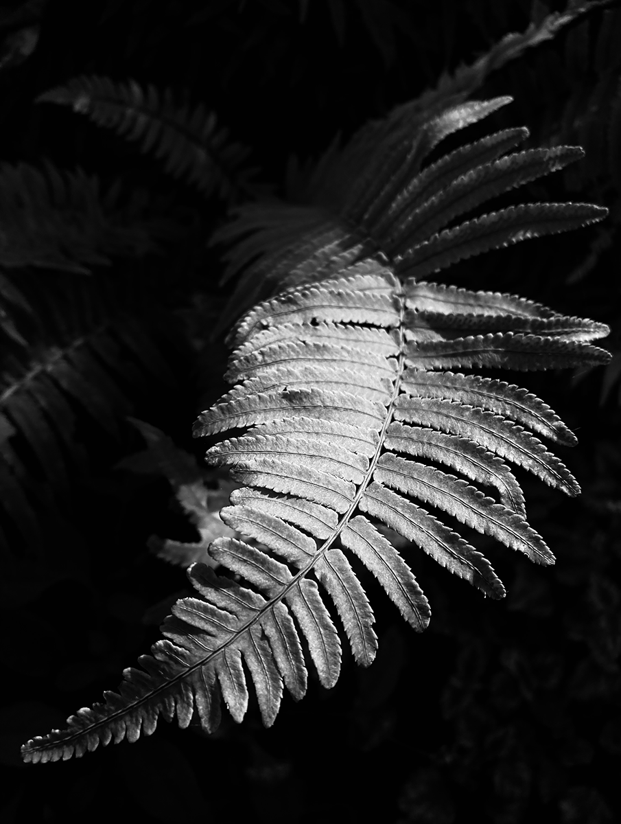 Landscape photography