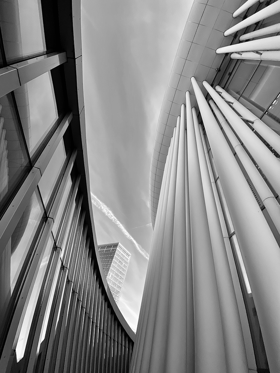 Black and White Photography