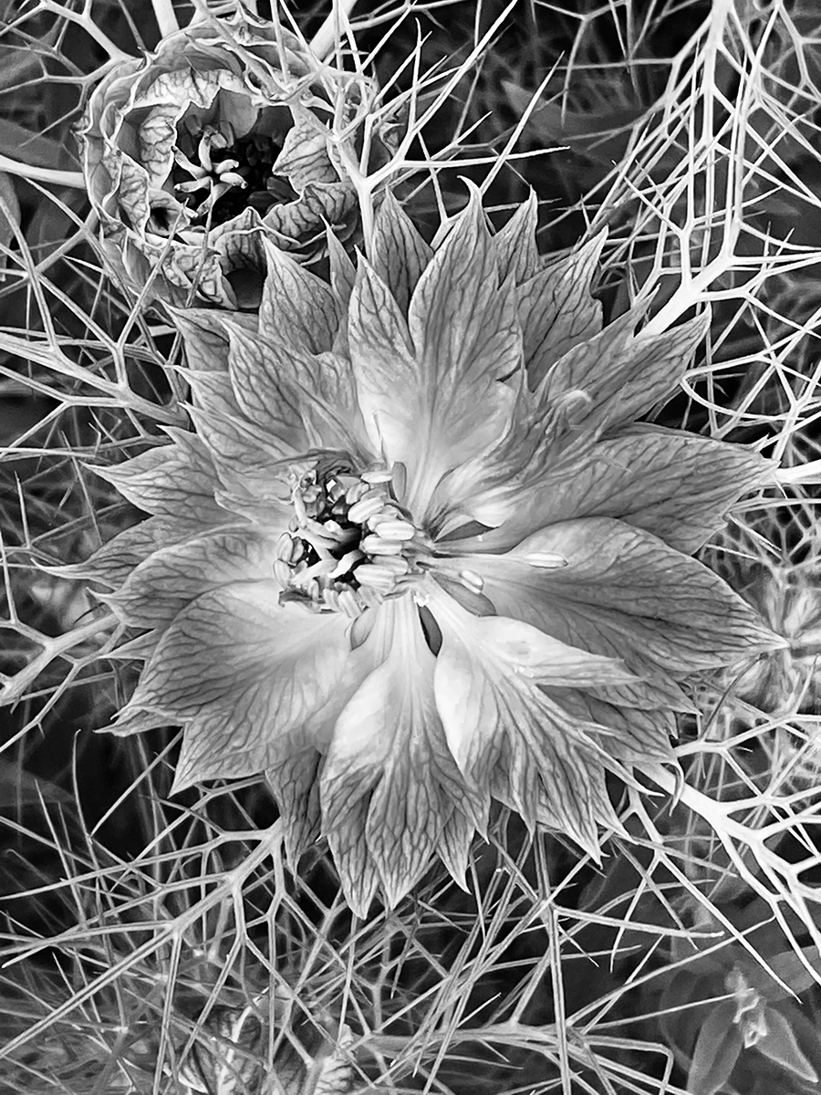 Black and White Photography